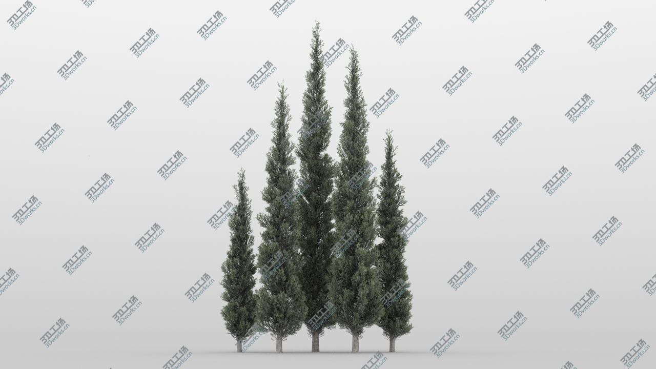 images/goods_img/202104092/3D model 40 Summer Conifer Trees/5.jpg